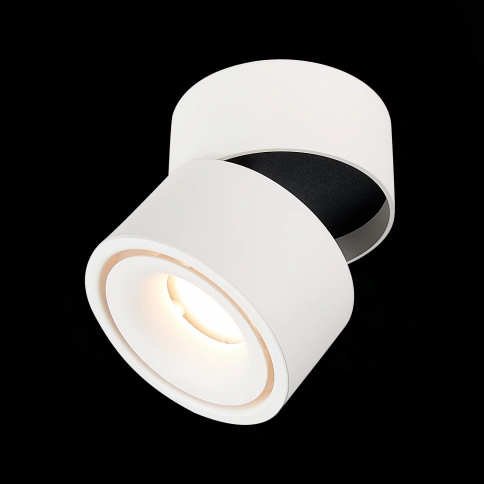 ST652.542.12 Светильник потолочный Белый LED 1*12W 4000K 1 000Lm Ra>90 36° IP20 D100xH105 170-240VV фото 1