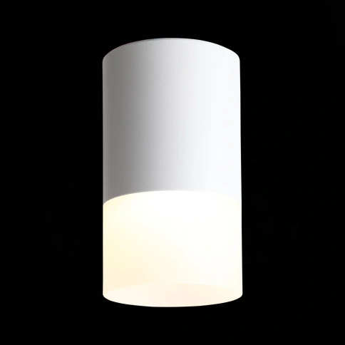 ST100.502.05 Светильник потолочный Белый LED 1*5W 3000K 390Lm Ra>80 120° D64xH110 170-240V фото 1