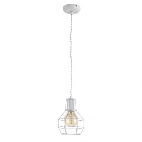 Подвесной светильник Arte Lamp INTERNO A9182SP-1WH фото 1