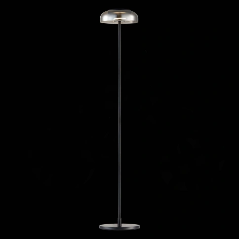 SL6002.405.01 Торшер ST-Luce Черный/Дымчатый LED 1*7W 4000K фото 1