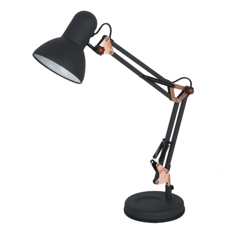 Офисная настольная лампа Arte Lamp JUNIOR A1330LT-1BA фото 1