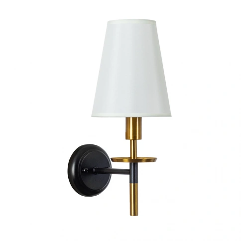 Бра Arte Lamp RICCARDO A4075AP-1BK фото 1