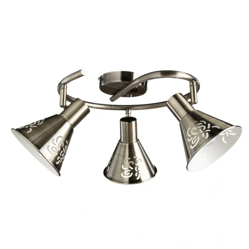 Спот Arte Lamp CONO A5218PL-3AB фото 1