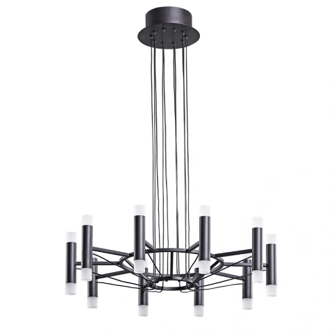 Подвесная люстра Arte lamp EMPIRE A2482SP-20BK фото 1