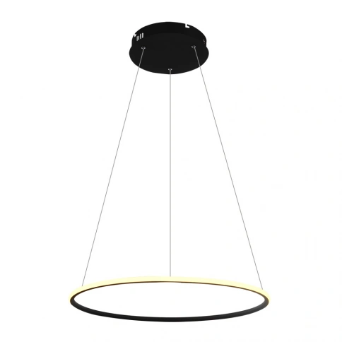 Подвесная люстра Arte Lamp RAPID A2500SP-1BK фото 1