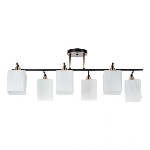 Потолочная люстра Arte Lamp MEROPE A4071PL-6BK фото 1