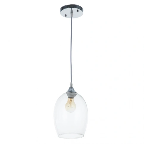 Подвесной светильник Arte Lamp PROPUS A4344SP-1CC фото 1