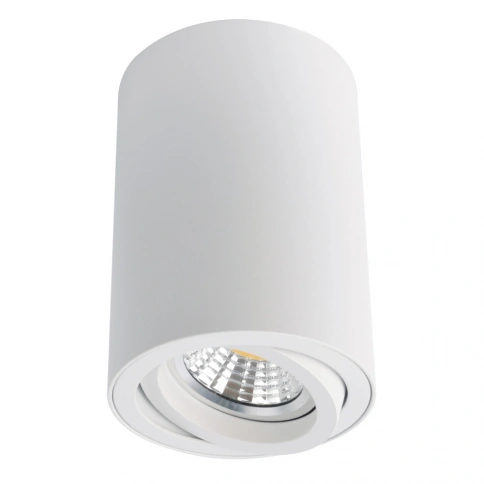 Точечный накладной светильник Arte Lamp SENTRY A1560PL-1WH фото 1