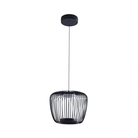 Подвесной светильник Arte Lamp FLARE A3529SP-12BK фото 1