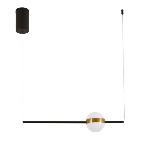 Подвесной светильник Arte Lamp FURUD A2124SP-1BK фото 1