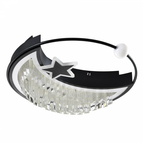 Потолочный светильник LED4U L8024-450 BK фото 1