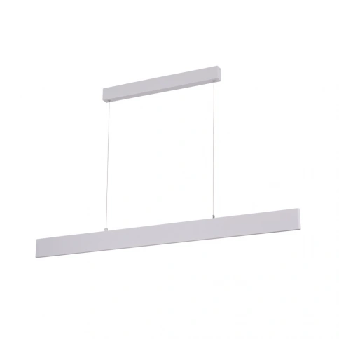 Подвесной светильник Arte Lamp LARGO A2505SP-2WH фото 1