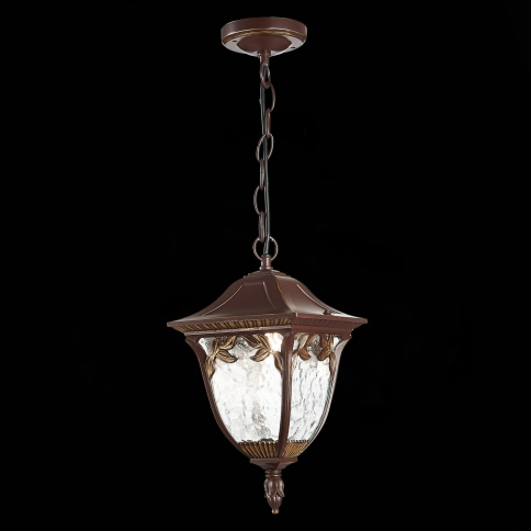 SL083.703.01 Светильник уличный подвесной ST-Luce Кофейный/Кофейный, Прозрачный E27 1*60W фото 1