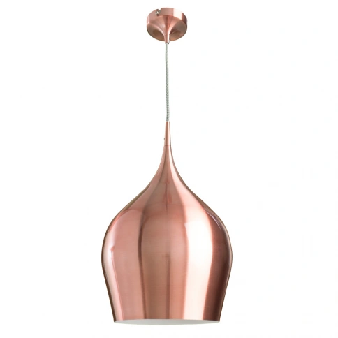Подвесной светильник Arte Lamp VIBRANT A6426SP-1BZ фото 1