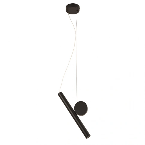 Подвесной светильник Arte Lamp BEEMIM A2090SP-1BK фото 1