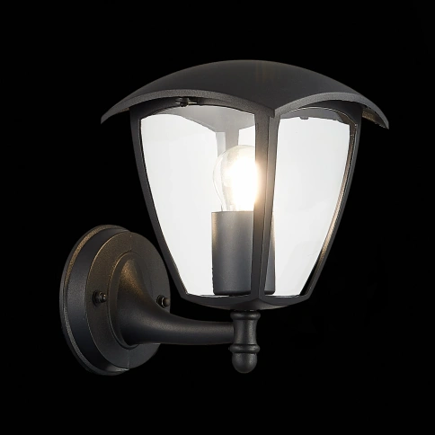 SL081.401.01 Светильник уличный настенный ST-Luce Черный/Черный, Прозрачный E27 1*40W фото 1