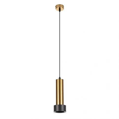 Точечный подвесной светильник ARTE LAMP RAN A3147SP-1PB фото 1