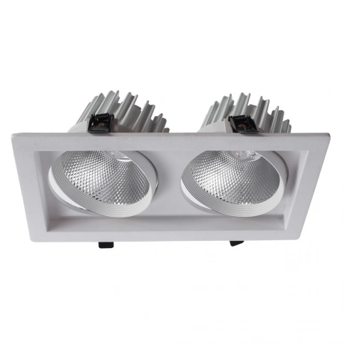 Точечный встраиваемый светильник Arte Lamp PRIVATO A7018PL-2WH фото 1