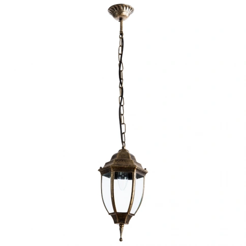 Уличный подвесной светильник Arte Lamp PEGASUS A3151SO-1BN фото 1