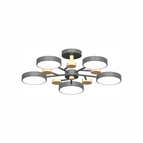 Потолочный cветильник LED4U L3204-620 GR фото 1