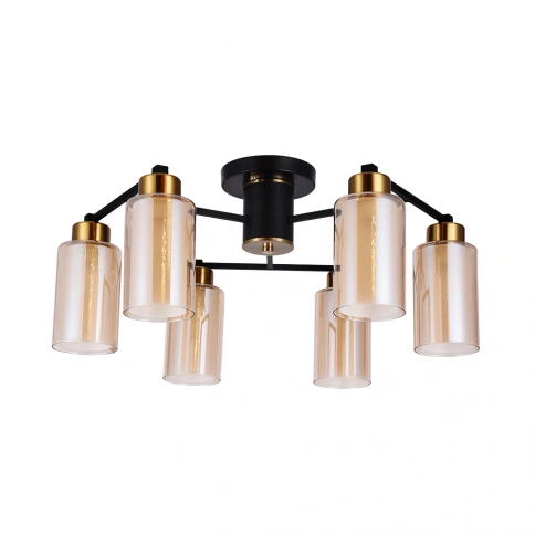 Потолочная люстра Arte Lamp LEO A7027PL-6BK фото 1