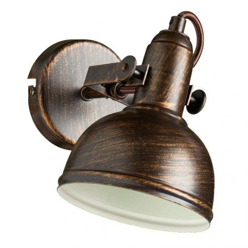Спот Arte Lamp MARTIN A5213AP-1BR фото 1