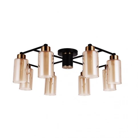 Потолочная люстра Arte Lamp LEO A7027PL-8BK фото 1