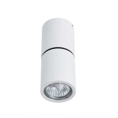 Спот Divinare GAVROCHE POSTO 1800/03 PL-1 фото 1