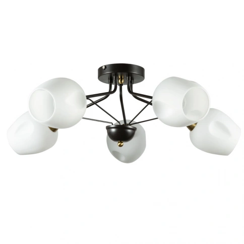 Потолочная люстра Arte Lamp BRIGHTON A2706PL-5CK фото 1