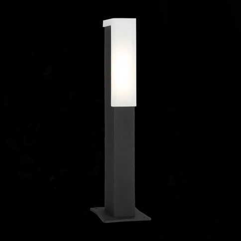 SL096.405.02 Светильник уличный наземный ST-Luce Черный/Белый LED 1*6W 4000K фото 1