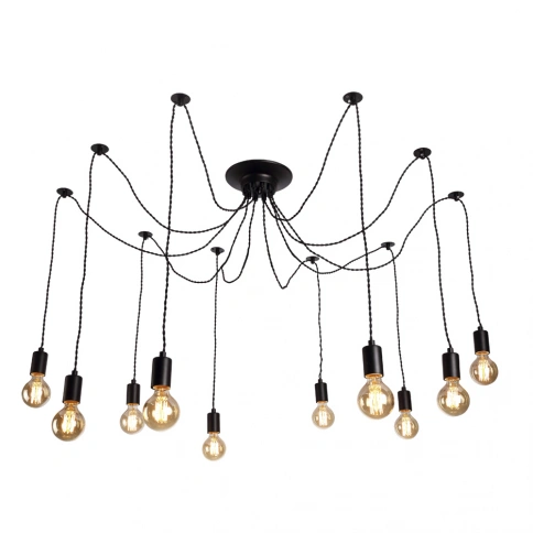 Подвесная люстра Arte Lamp FUORI A9184SP-10BK фото 1
