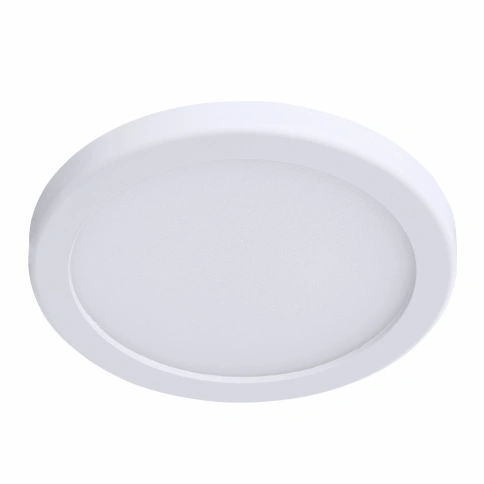 Потолочный светильник Arte Lamp A2529PL-1WH фото 1