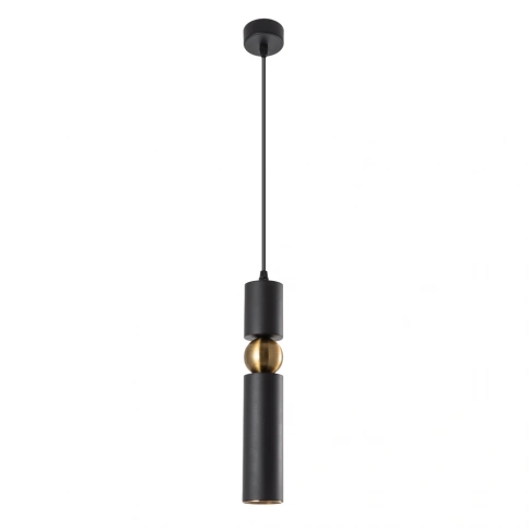 Точечный подвесной светильник Arte Lamp RAN A3162SP-1BK фото 1