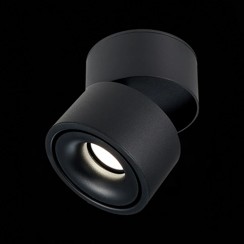ST652.442.12 Светильник потолочный Черный LED 1*12W 4000K 1 000Lm Ra>90 36° IP20 D100xH105 170-240V фото 1
