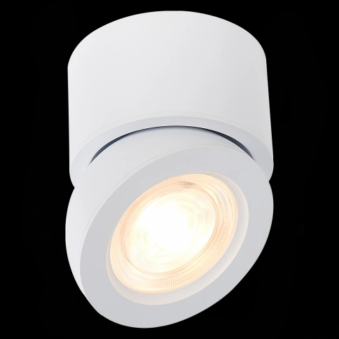 ST654.532.10 Светильник потолочный Белый LED 1*10W 3000K 850Lm Ra>90 38° IP20 D95xH96 180-240V фото 1