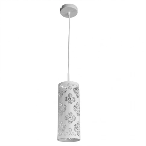 Подвесной светильник Arte Lamp MAESTRO A2031SP-1WA фото 1