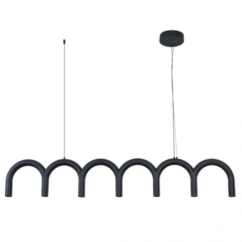 Подвесной светильник Arte Lamp WARHOL A3258SP-45BK фото 1