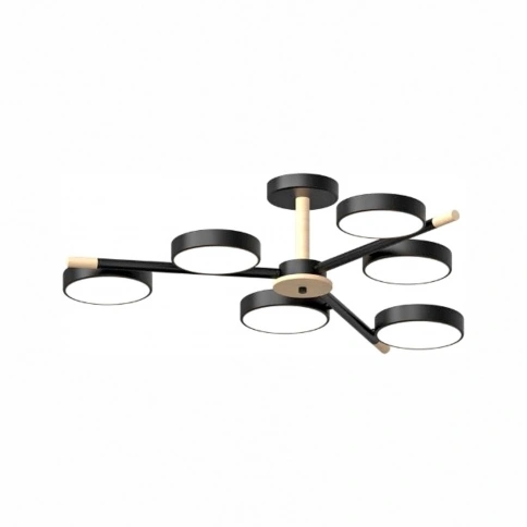 Потолочный cветильник LED4U L3208-800 BK фото 1