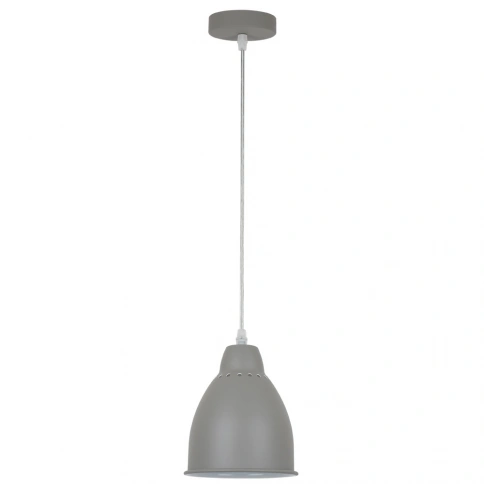 Подвесной светильник Arte Lamp BRACCIO A2054SP-1GY фото 1