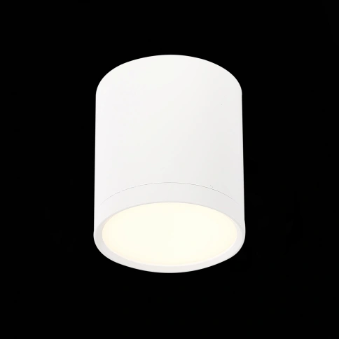 ST113.532.05 Светильник потолочный Белый LED 1*5W 3000K 390Lm Ra>90 120° IP20 D68xH75 170-240V фото 1