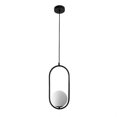 Подвесной светильник Arte Lamp MATISSE A7745SP-1BK фото 1