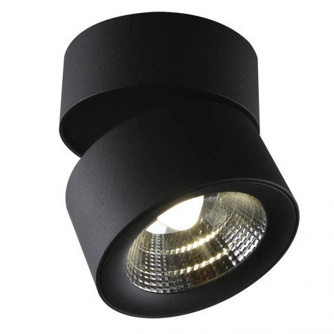 Спот Divinare URCHIN 1295/04 PL-1 фото 1