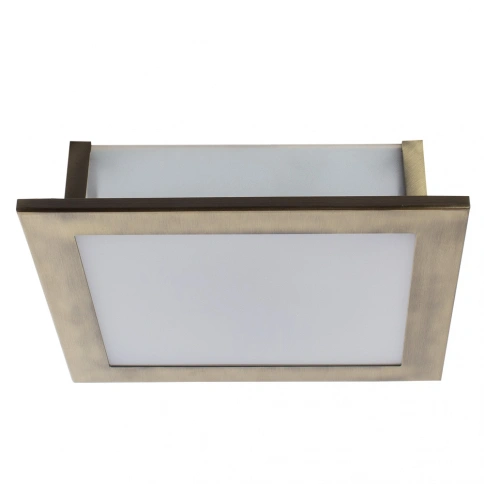 Потолочный светильник Arte Lamp FLUSHES A6064PL-2AB фото 1
