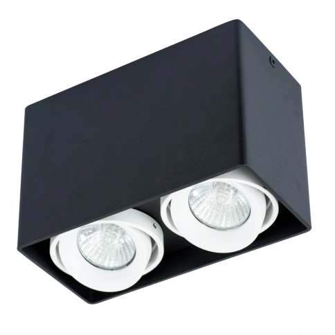 Точечный накладной светильник Arte Lamp PICTOR A5655PL-2BK фото 1