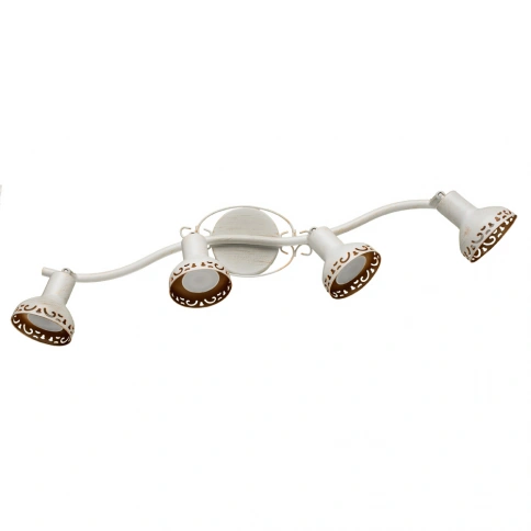 Спот Arte Lamp FOCUS A5219PL-4WG фото 1