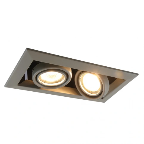 Карданный светильник Arte Lamp CARDANI PICCOLO A5941PL-2GY фото 1