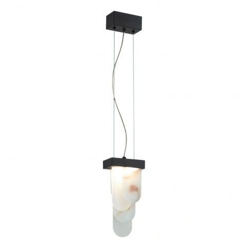 5438/12L HIGHTECH ODL_EX25 101 черный/металл/ смола под алебастр /акрил Подвес LED 12W 3000K 1489Лм  фото 4