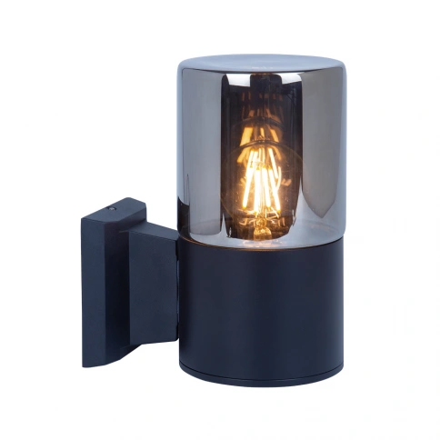 Уличный настенный светильник Arte Lamp WAZN A6218AL-1BK фото 1