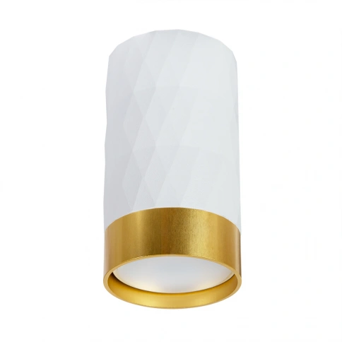 Точечный накладной светильник Arte Lamp FANG A5558PL-1WH фото 1