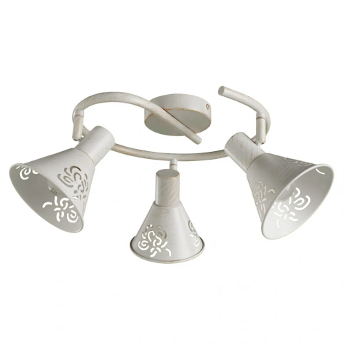 Спот Arte Lamp CONO A5218PL-3WG фото 1